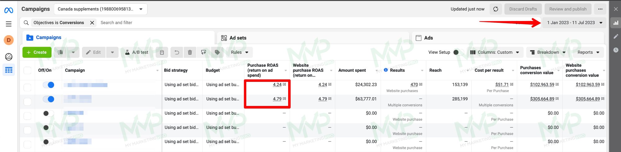 Supplement sales campaigns: original report screenshot